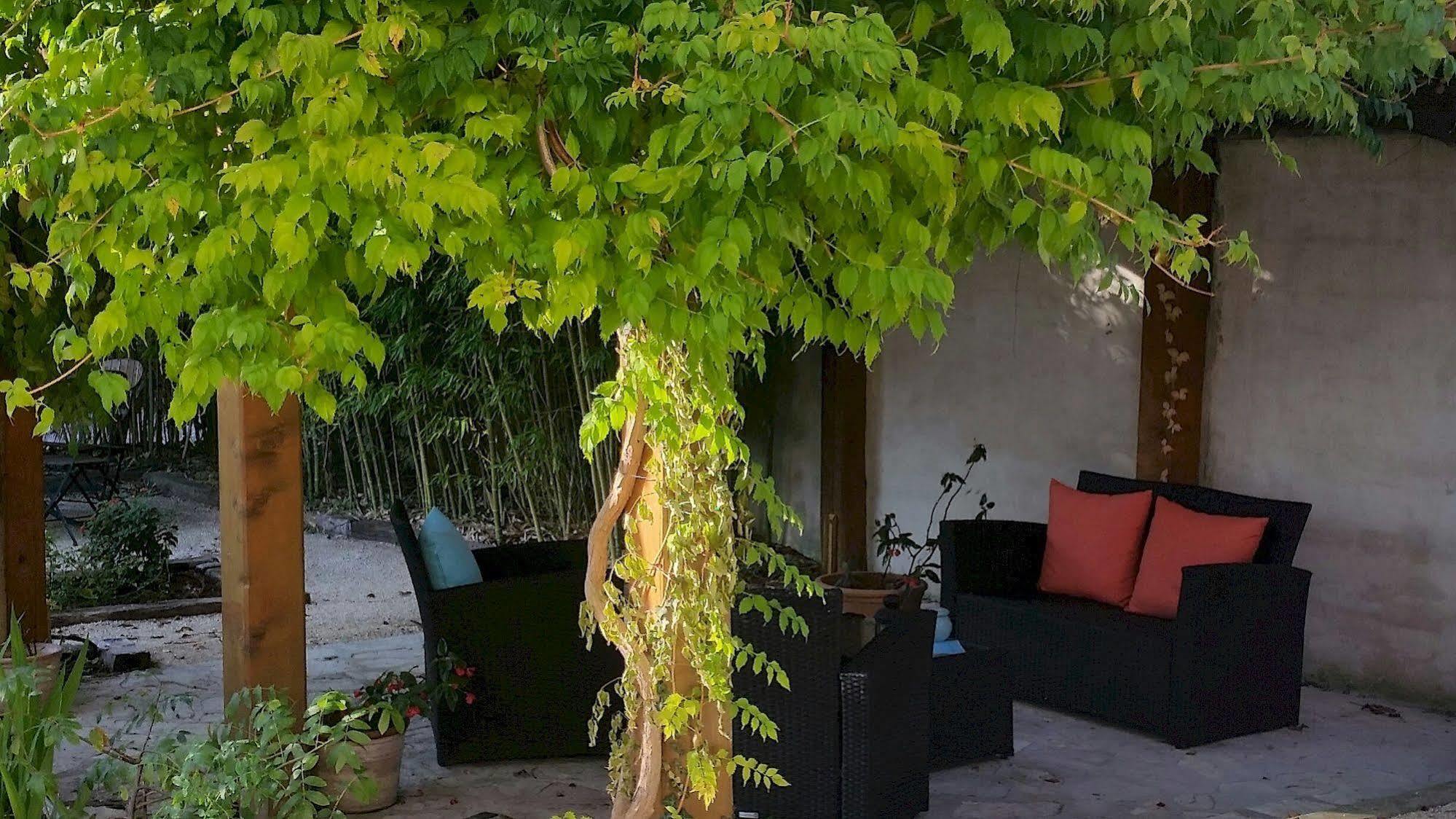 Hotel Le Synaya 3*